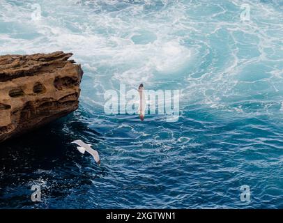 Deux mouettes glissent gracieusement au-dessus des eaux turquoises bruyantes d'un océan, avec des falaises rocheuses offrant un arrière-plan accidenté. Banque D'Images