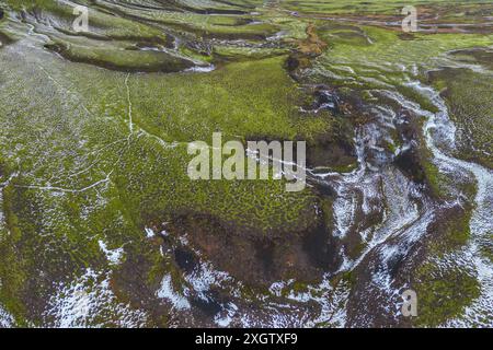 Une vue aérienne panoramique capturant les motifs complexes et les textures diverses d'un paysage montagneux en été, avec de la mousse verte et du sol sombre str Banque D'Images