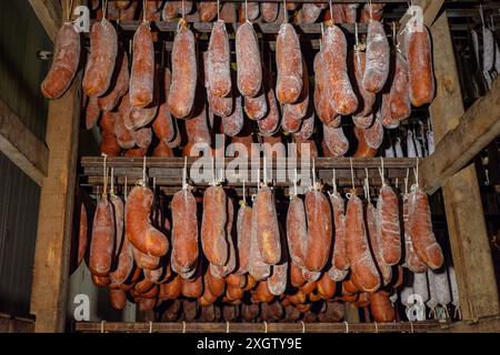 Racks de Sobrasada et autres saucisses salées vieillies dans une salle de salaison traditionnelle de viande, présentés dans un cadre rustique en bois avec un accent sur le foo artisanal Banque D'Images