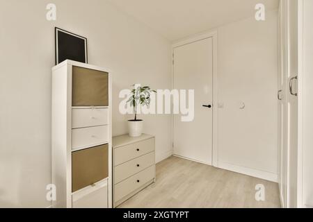 Une chambre élégante et moderne au style minimaliste, avec un jeu de couleurs blanc, un mobilier simple comprenant une commode et une petite plante Banque D'Images