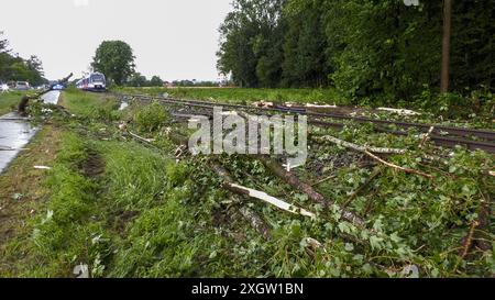 Eine breite Unwetterfront sorgt seit den Nachmittagsstunden für Chaos in Oberbayern. Besonders schlimm traf es Holzkirchen und Umgebung. Orkanböen und heftiger Starkregen sorgten hier für viele Schäden. Umgestürzte Bäume blockierten viele Straßen. Autofahrer halfen sich teilweise selbst, da die Rettungskräfte zu viele Einsatzstelle abarbeiten mussten. Der Starkregen und gesättigte Boden verursachte zudem Sturzfluten und Murenabgänge. Diese blockierten ebenfalls Straßen. In Holzkirchen kamen Feuerwehren aus anderen Gemeinden zum Einsatz. Nahezu an jeder Straßenecke liegen umgekippte Bäume. Ein Banque D'Images