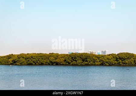 Remblai de la ville de Donetsk le long de la rivière Kalmius. Les bâtiments à plusieurs étages s'élèvent. Un pont traverse la rivière reliant une partie de la ville. Photo de haute qualité Banque D'Images