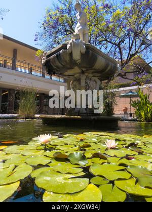 Claremont, CA - 9 juillet 2024 : fontaine entourée d'arbres Jacaranda au Harvey Mudd College Banque D'Images