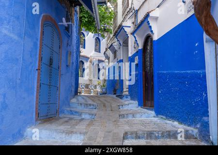 Les ruelles étroites avec des escaliers sont attrayantes pour les touristes, les vieux arbres de vigne. Maroc. Les maisons dans les tons de bleu et de blanc sont rêveuses et charmantes. Chefchao Banque D'Images