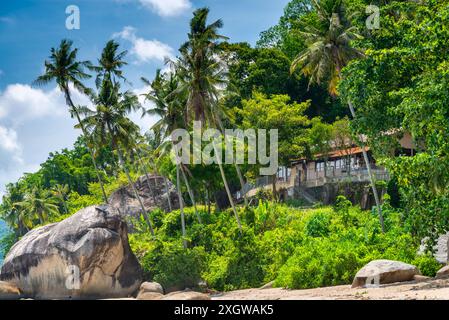 Un joyau caché à Penang, un lieu de voyage paradisiaque, appelé secret Beach, de beaux sables et des cocotiers bordant la plage, des vagues douces et Banque D'Images