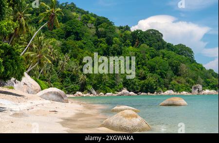 Un joyau caché à Penang, un lieu de voyage paradisiaque, appelé secret Beach, de beaux sables et des cocotiers bordant la plage, des vagues douces et Banque D'Images