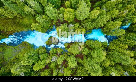 Vue aérienne de la rivière Turquoise serpentant à travers la luxuriante forêt verte Banque D'Images