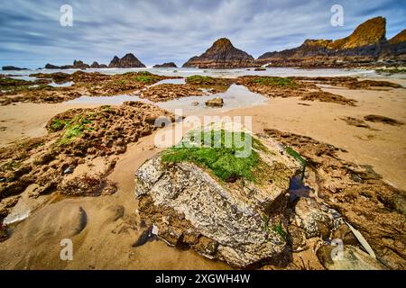 Mossy Rock et Tidepools sur Oregon Coast Low perspective Banque D'Images