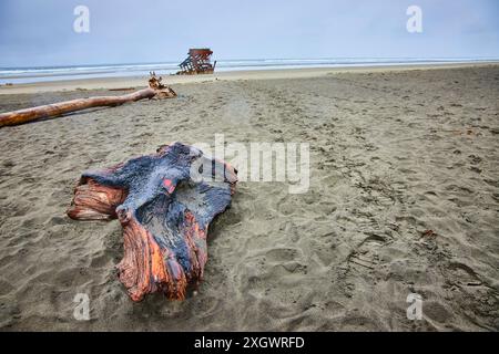 Driftwood and Wrecked Ship on Desolate Beach Low angle View Banque D'Images