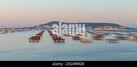 Tables d'huîtres sur l'Etang de Thau, et Mont Saint clair au coucher du soleil, en Occitanie, France Banque D'Images