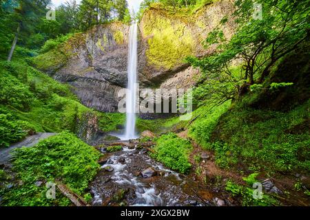 Majestueuses chutes Latourell Cascades surplombant la luxuriante falaise vue vers le haut Banque D'Images