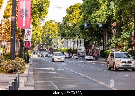 Tbilissi, Géorgie - 23 JUIN 2024 : L'avenue Shota Rustaveli, parmi les rues principales de Tbilissi, Géorgie, relie la place de la Révolution des roses au Banque D'Images