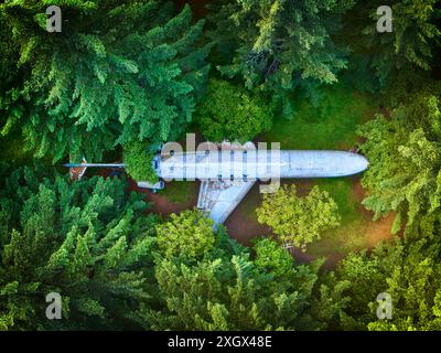 Aérien Top Down d'un avion abandonné dans une forêt d'été dense Banque D'Images