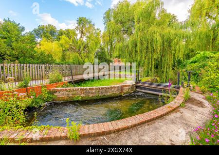 Vue depuis les Weirs, un pittoresque sentier de promenade en bord de mer le long de la rivière Itchen à travers un parc de la ville médiévale de Winchester, en Angleterre. Banque D'Images