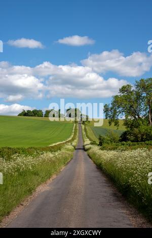 Britwell Hill, Oxfordshire, Royaume-Uni Banque D'Images