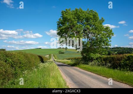 Britwell Hill, Oxfordshire, Royaume-Uni Banque D'Images