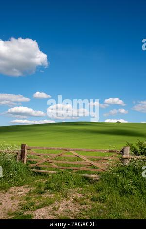 Britwell Hill, Oxfordshire, Royaume-Uni Banque D'Images