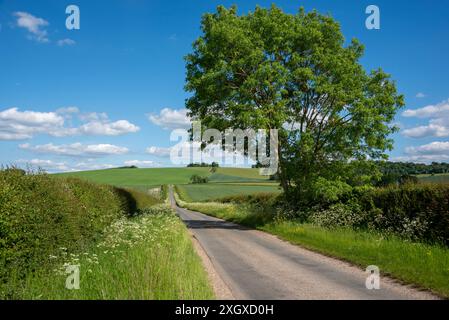 Britwell Hill, Oxfordshire, Royaume-Uni Banque D'Images