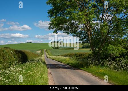 Britwell Hill, Oxfordshire, Royaume-Uni Banque D'Images