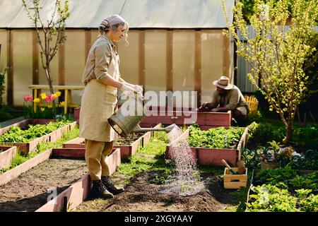 Jardinière féminine mature en vêtements de travail tenant un pot d'arrosage métallique sur le parterre de fleurs avec des plants de fraises nouvellement replantés Banque D'Images