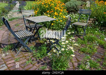 jardin sauvage - spirale d'herbes dans le jardin avec des herbes fraîches et des fleurs, table et chaises Banque D'Images