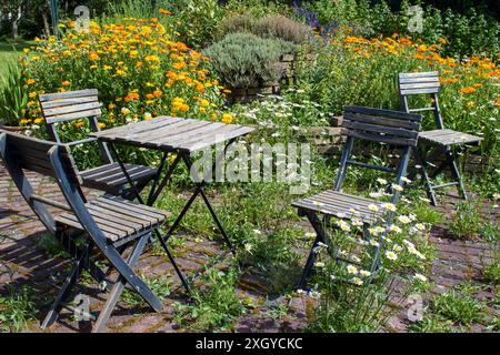 jardin sauvage - spirale d'herbes dans le jardin avec des herbes fraîches et des fleurs, table et chaises Banque D'Images