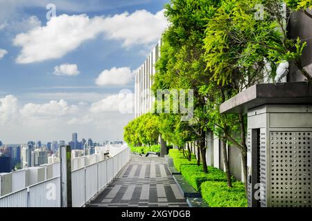 Beau jardin sur le toit. Terrasse extérieure avec parc incroyable et vue panoramique sur la ville. Bancs modernes sous des arbres verts le long de la passerelle. Banque D'Images