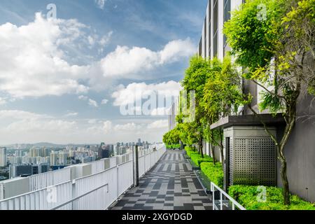 Beau jardin sur le toit. Terrasse extérieure pittoresque avec parc et vue imprenable sur la ville. Bancs modernes sous des arbres verts le long de la passerelle. Banque D'Images