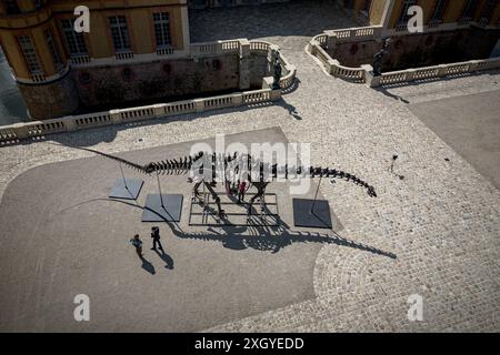 Paris, France. 10 juillet 2024. Un squelette de dinosaure d'Apatosaure est exposé au château de Dampierre-en-Yvelines à Dampierre-en-Yvelines, au sud de Paris, France, le 10 juillet 2024. Mesurant 21 mètres de long, ce squelette datant d'il y a environ 150 millions d'années est prévu pour la vente aux enchères en novembre de cette année. Crédit : Aurelien Morissard/Xinhua/Alamy Live News Banque D'Images