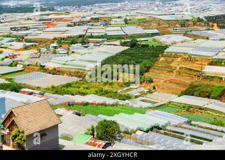 Vue imprenable sur les serres dans les fermes biologiques. Culture de légumes et de baies. Culture industrielle d'herbes et de fleurs. Paysage agricole. Banque D'Images