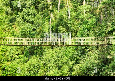 Pont suspendu simple et pittoresque. Passerelle étonnante faite de corde et de bambou. Beau pont suspendu parmi les bois verts. Banque D'Images