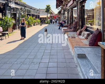 Istanbul, Turquie - 8 mai 2024 : une scène de rue dynamique se déroule dans le cœur historique d'Istanbul. Banque D'Images