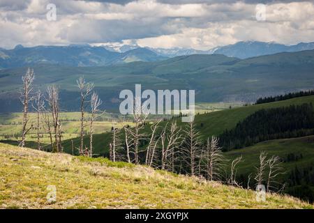 La vue depuis Mt. Washburn dans le parc national de Yellowstone Banque D'Images