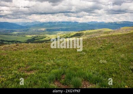 La vue depuis Mt. Washburn dans le parc national de Yellowstone Banque D'Images