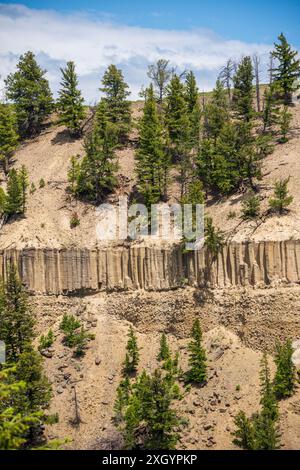 Yellowstone River depuis Calcite Springs Overlook dans le parc national de Yellowstone, États-Unis Banque D'Images