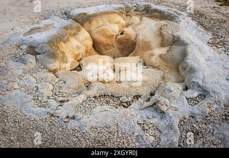 Le Biscuit Basin, Une collection de piscines thermales colorées et de geysers à côté d'une rivière dans le parc national de Yellowstone Banque D'Images