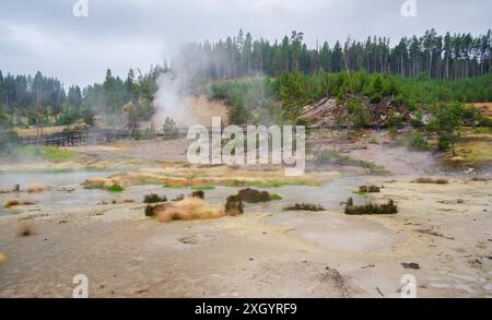 The Cooking Hillside, Mud Volcano Area, parc national de Yellowstone, Wyoming, États-Unis d'Amérique Banque D'Images