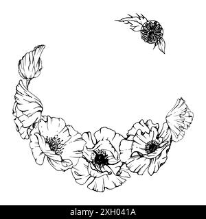 Feuilles de fleurs d'illustration botanique graphique vectorielle dessinées à la main. Papave de coquelicot rouge, tiges bourgeons graines. Cadre de couronne isolé fond blanc Illustration de Vecteur