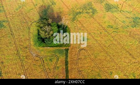 vue aérienne de beau paysage d'été, champs jaunes, zone boisée, vieux cimetière, route verte. Banque D'Images