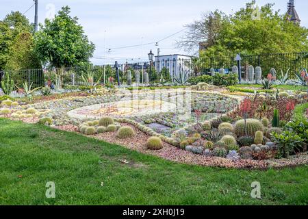 Le célèbre groupe de cactus au parc Carl Johans à Norrkoping Strömparken au printemps à Norrköping, Suède Banque D'Images