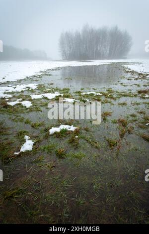 L'eau après la fonte de la neige dans le pré et les arbres à l'horizon dans le brouillard, jour de février Banque D'Images