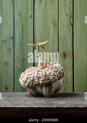 Turban Squash sur la table sur une vieille table en bois avec fond vert et espace de copie Banque D'Images