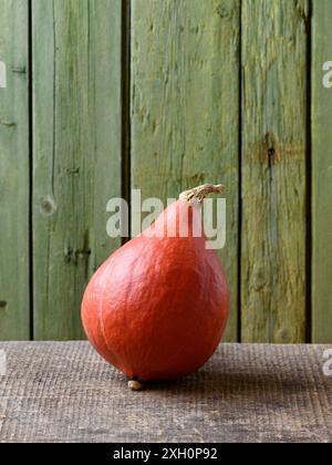 Squash Uchiki Kuri ou citrouille Hokkaido sur une vieille table rustique avec fond vert Banque D'Images