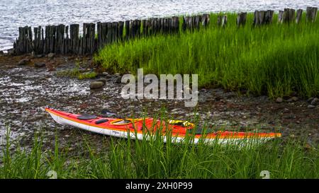 NORWALK, CT, États-Unis - 9 JUILLET 2024 : un kayak orange vif repose sur la rive rocheuse près d'une zone herbeuse lors de la soirée d'été en se concentrant sur l'herbe à Forward Banque D'Images