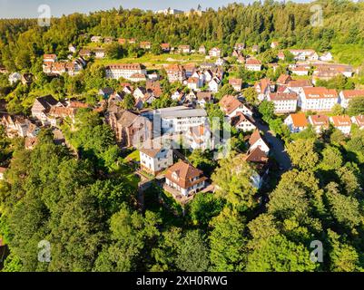 Vue aérienne d'une colonie avec de nombreuses maisons sur une colline verte par une journée d'été ensoleillée, Calw, Forêt Noire, Allemagne Banque D'Images