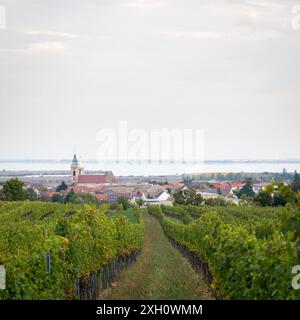 Village de Rust sur le lac Neusiedlersee avec vignobles Banque D'Images