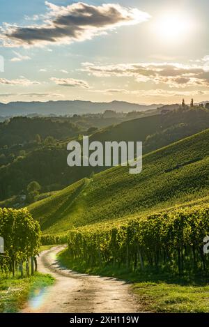 Styrie Toscane vignoble en automne près de Styrie du Sud, Rabenland. Lieu touristique pour les amateurs de vin Banque D'Images