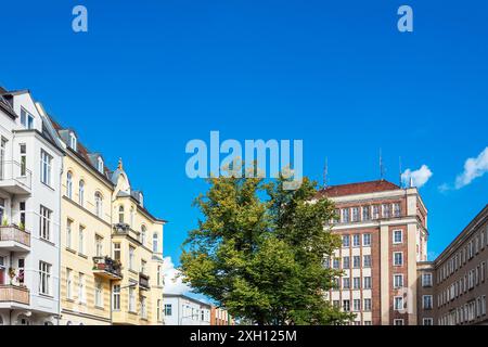 Bâtiment et arbre dans Bluecherstrasse dans la ville hanséatique de Rostock Banque D'Images