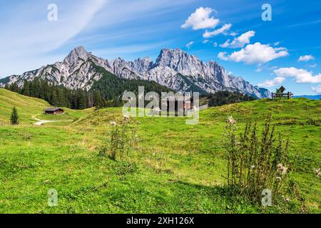 Vue du Litzlalm avec cabane en Autriche Banque D'Images