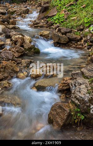 Ruisseau de montagne sur la Seiser Alm, Alpe di Siusi, Tyrol du Sud Banque D'Images